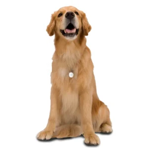 Super Mini Wearable 24h Pet GPS Tracker Health Smart Waterproof Dog Activity Tracker