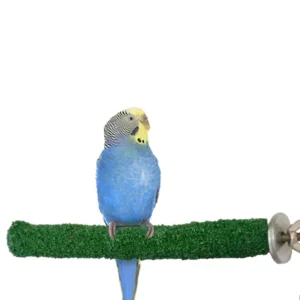 Sustainable Eco Friendly Small Medium sized Wood Steel Parrot Stand Poles Sand Rod Entertainment for Birdcage Bird Supplies