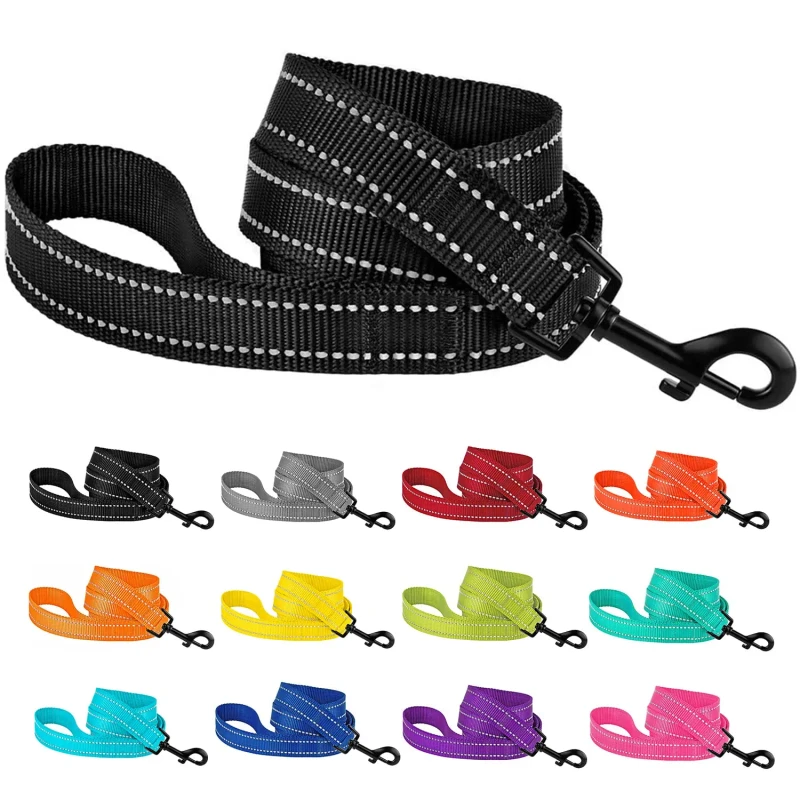 Sustainable Heavy Duty Reflective Nylon Pet Leash with Ribbon Decorations for Dogs