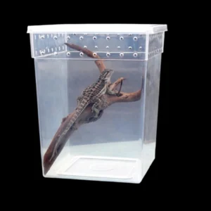 Tall Vertical Arboreal Tarantula Terrarium Breathable Spider Breeding Box Reptile Enclosure for Tree Spider