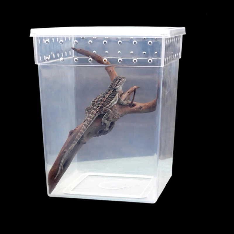 Tall Vertical Arboreal Tarantula Terrarium Breathable Spider Breeding Box Reptile Enclosure for Tree Spider