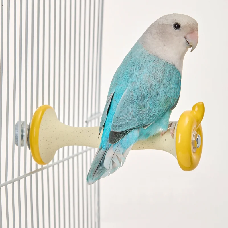 The little bird stands on the stick sharpening its claws. It stands on the perch climbing and playing sharpening its beak
