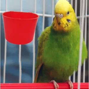 Thickened Plastic Bird Feeder Trough AA 2 AA 3 Durable Seed Hopper Cup for Birds Factory Supply with OEM Support