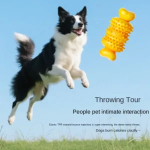 Toys for Pets Indestructible Natural Rubber Nylon Dog Chew Bone Toy for Aggressive Chewers Interactive Movement Pet Toys