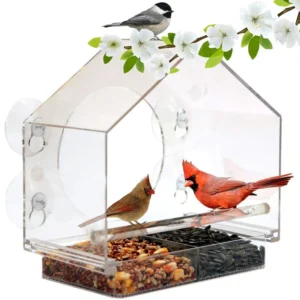 Transparent Acrylic Bird Feeder and Cage New Pet Bird Supplies for Backyard Birding