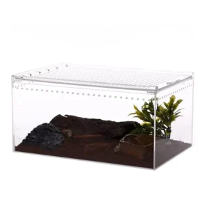 Transparent Acrylic Reptile Breeding Box Closed Insect Breeding Box Custom Acrylic Reptile Display Cases