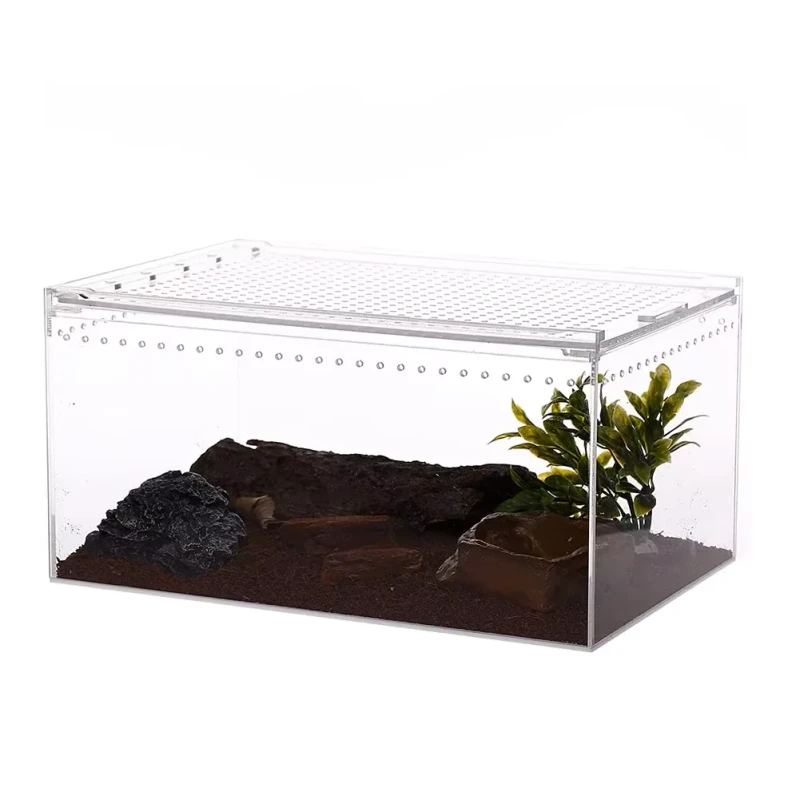 Transparent Acrylic Reptile Breeding Box Closed Insect Breeding Box Custom Acrylic Reptile Display Cases