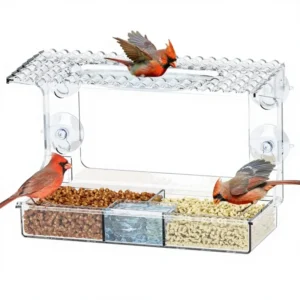 Transparent Wall Mounted Bird Feeder with Strong Suction Cup No Drill Plastic Feeder for Parrot Budgie Canary Garden Birds