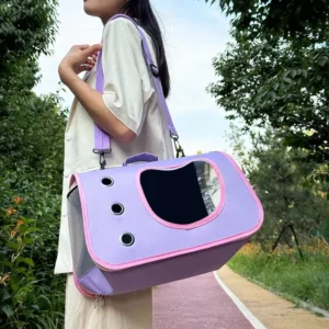Transparent Window Large Pet Carrier Bubble Cat Backpack with Breathable Feature for Cat and Dog Walk