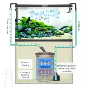 Ultra-Quiet Water Circulation Aquarium Accessories External Fish Tank Filter System Cylinder Aquarium Canister Filter