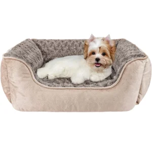 Unique Elavated Elevated Premium Pet Bed Accessories Single Double Size Sleeping Non slip Dog Products Cot Beds