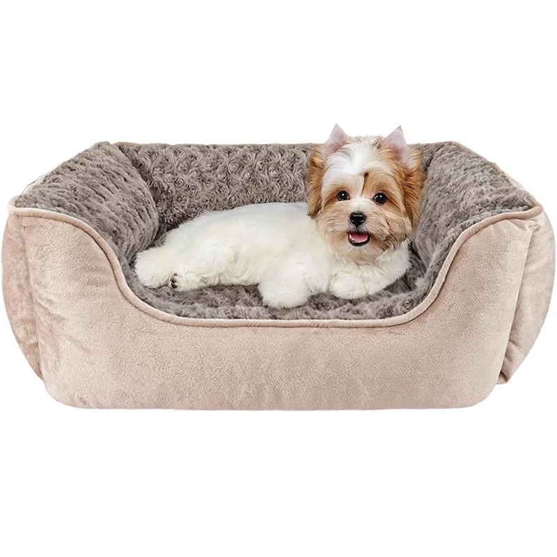 Unique Elavated Elevated Premium Pet Bed Accessories Single Double Size Sleeping Non slip Dog Products Cot Beds