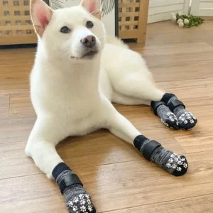 Waterproof Anti Slip Traction Control Dog Boots for Medium Dogs Teddy Indoor Outdoor Use All Seasons MOQ 200 Custom
