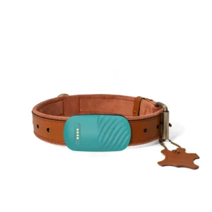 Waterproof GPS Tracker for Pets Dogs Wireless Remote Locator Tracking Dog Collar