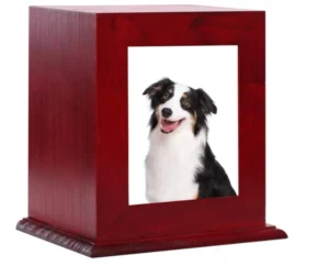 Wood Pet Urns Photo Frames Cat Dog Ashes Ash Box Memorial Funeral Supplies for Animal Ashes Storage Memorial Casket