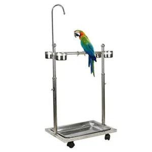 by Manufacturers Bird Parrot Stainless Steel Stand Frame Parrot Supplies