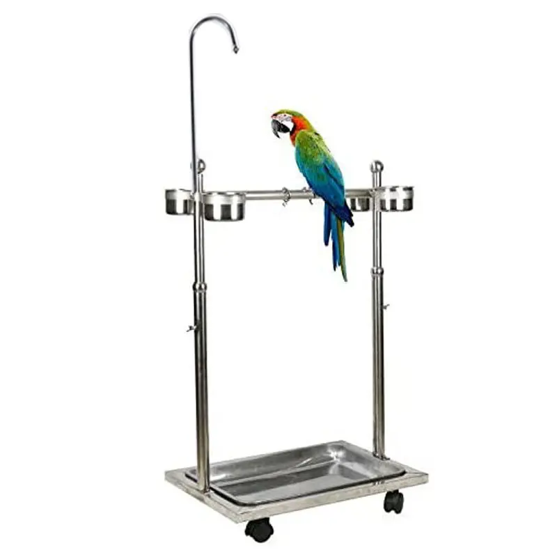 by Manufacturers Bird Parrot Stainless Steel Stand Frame Parrot Supplies