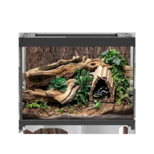 glass terrarium for reptile tanks housing geckos lizards horned frogs hermit crabs turtles snakes and insects