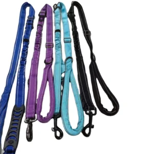 logo Hardware Adjustable Pet Dog Cat Nylon Collar Leashes With Accessories