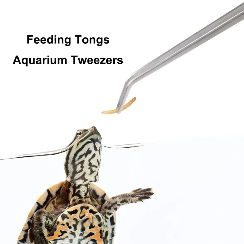 stainless steel reptile feeding tongs terrarium aquascape tools feeder for lizards bearded dragon snake tank accessories